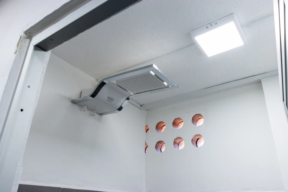 CDAG · Ducha eléctrica y ventilación
